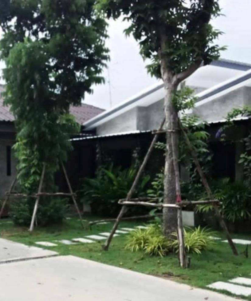 บ้านพักบุหงา199 อ สรรพยา Sapphaya المظهر الخارجي الصورة